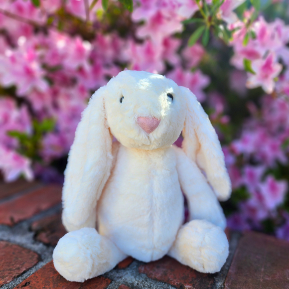 Sister Dulce Gift Shop, Catholic Store, Religious Store, Plush Bunny