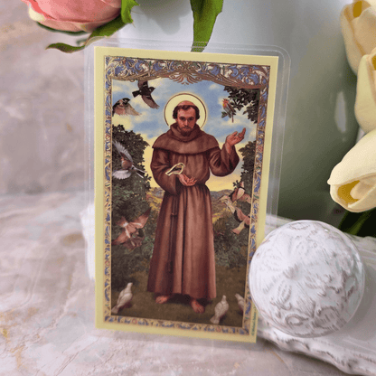 Sister Dulce Gift Shop, Shepherds Staff, Religious Store, Cypress Springs Mercedarian Prayer Center, Saint Francis of Assisi Prayer Card