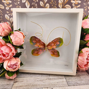 Orange Multi Color Butterfly Shadow Box