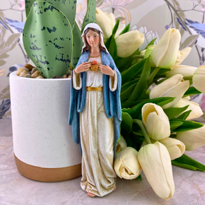 Sister Dulce Gift Shop, Catholic Store, Religious Store,  Immaculate Heart of Mary Statue