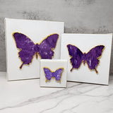 Sister Dulce Gift Shop, Catholic Store, Religious Store,  Butterfly Art