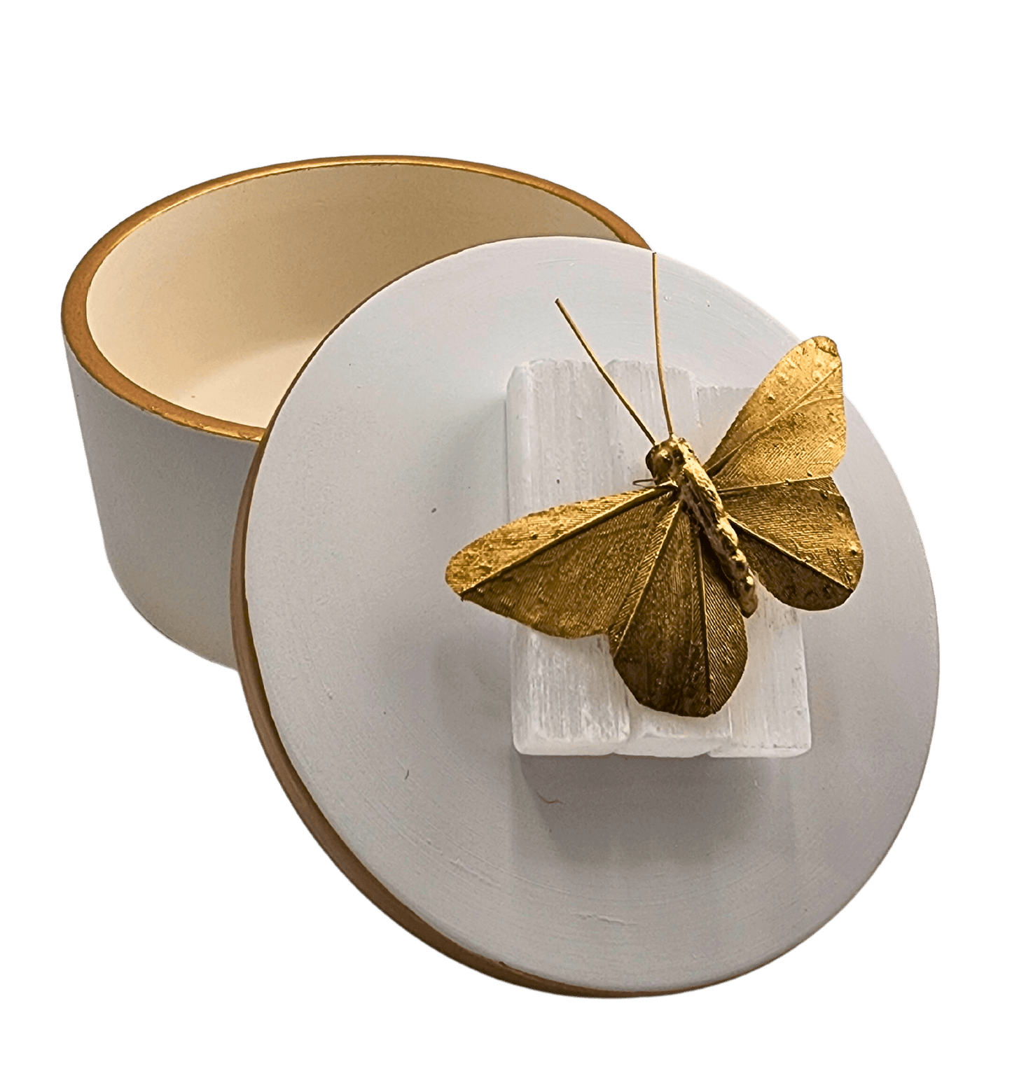Sister Dulce Gift Shop, Catholic Store, Religious Store, Butterfly  Ceramic Box