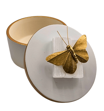 Sister Dulce Gift Shop, Catholic Store, Religious Store, Butterfly  Ceramic Box