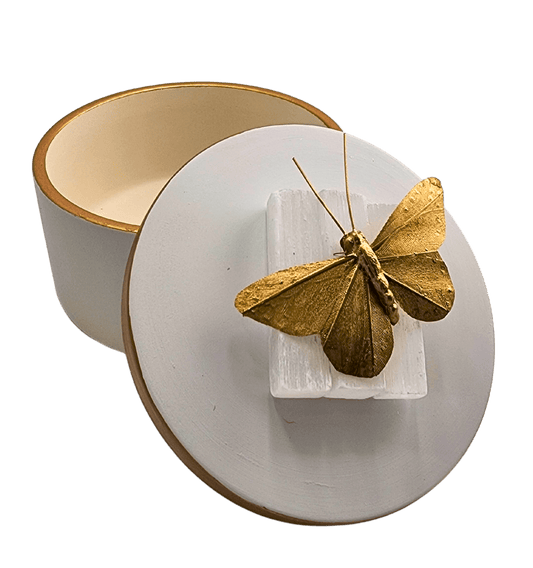 Sister Dulce Gift Shop, Catholic Store, Religious Store, Butterfly  Ceramic Box