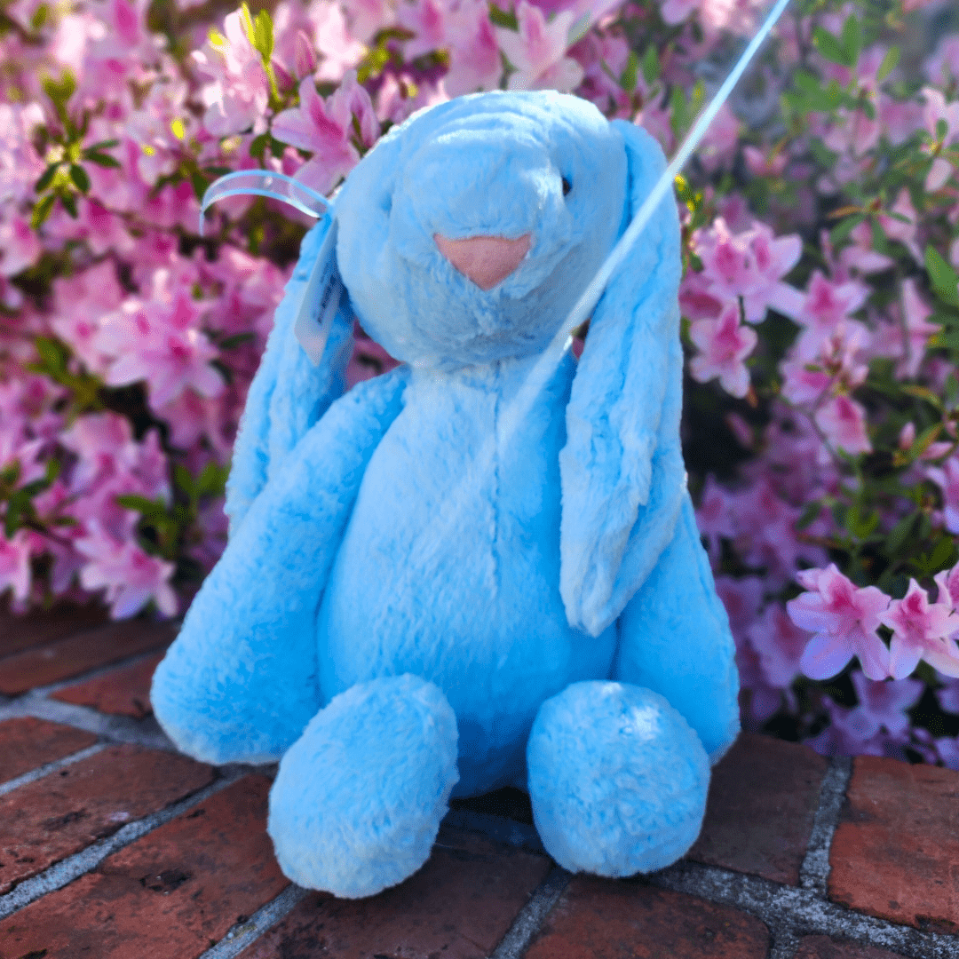 Sister Dulce Gift Shop. Catholic Store, Religious Store, Stuffed Bunny