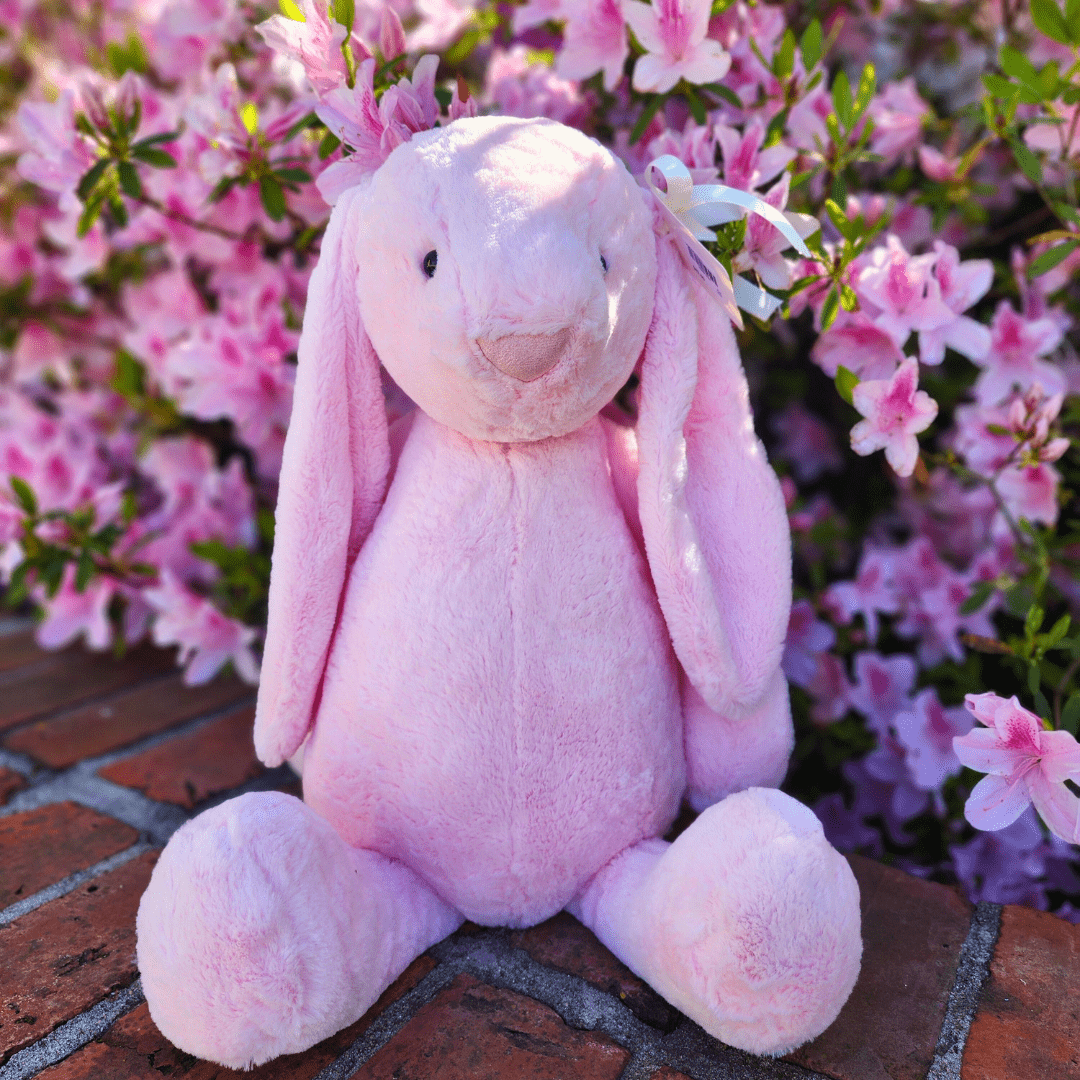 Sister Dulce Gift Shop. Catholic Store, Religious Store, Stuffed Bunny