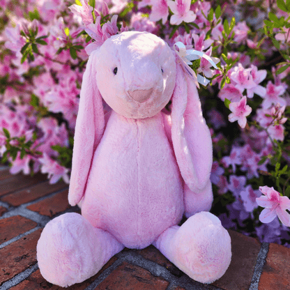 Sister Dulce Gift Shop. Catholic Store, Religious Store, Stuffed Bunny