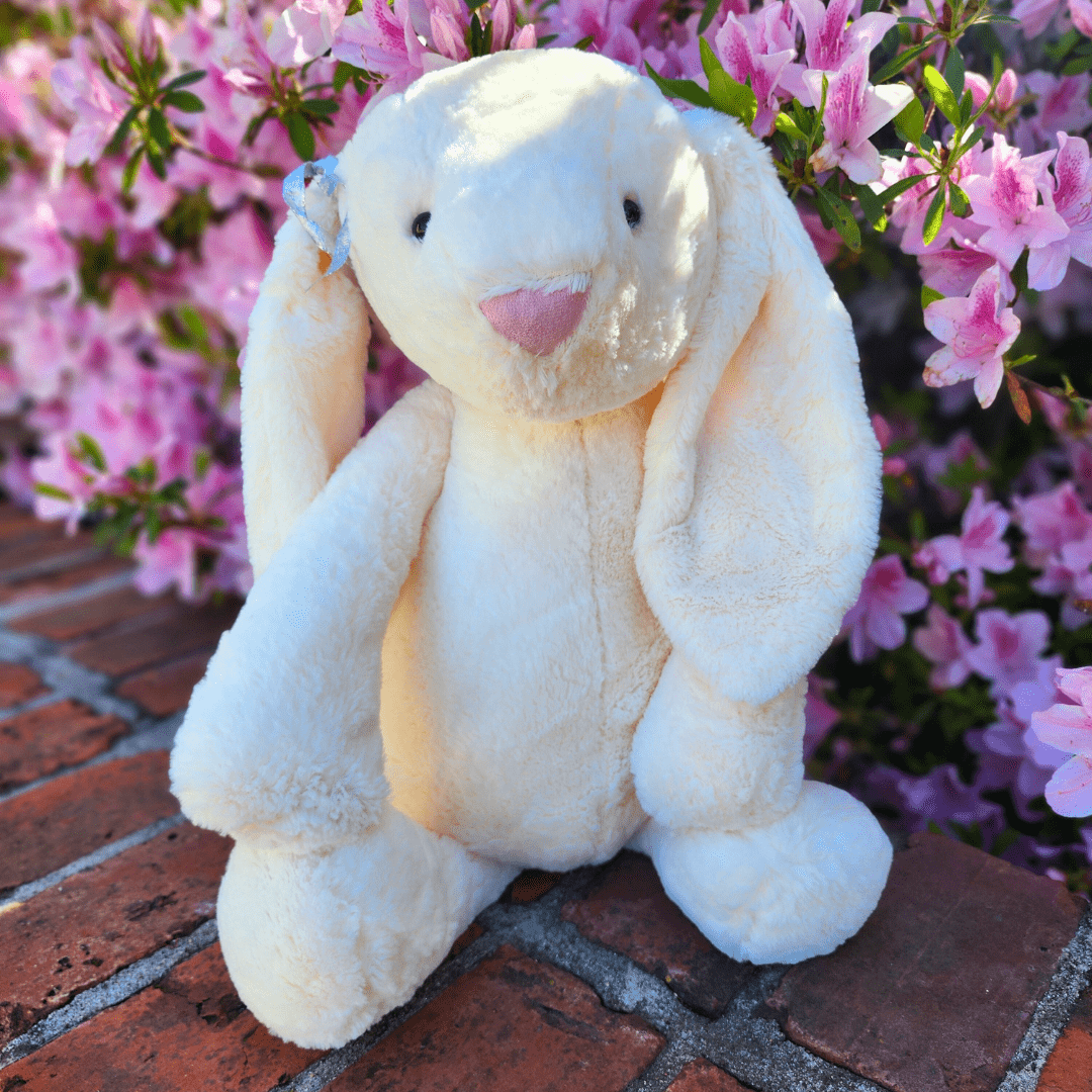 Sister Dulce Gift Shop. Catholic Store, Religious Store, Stuffed Bunny