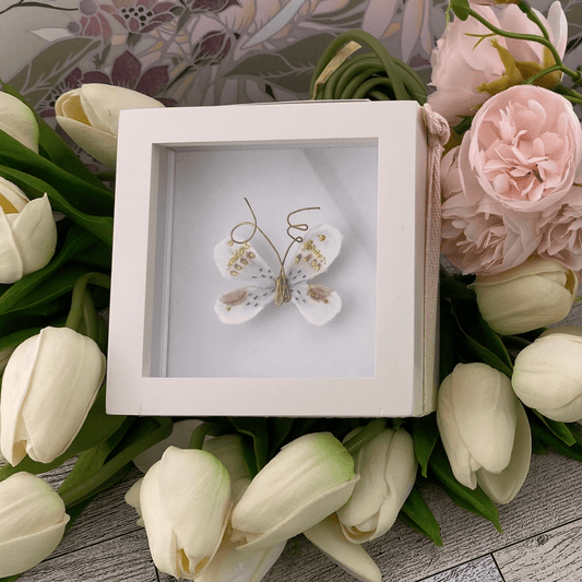 Sister Dulce Gift Shop. Catholic Store, Religious Store, Catholic Artwork, Religious Artwork, Butterfly Artwork