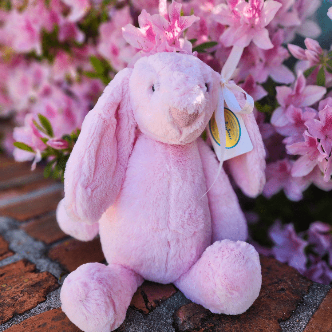 Sister Dulce Gift Shop. Catholic Store, Religious Store, Stuffed Bunny