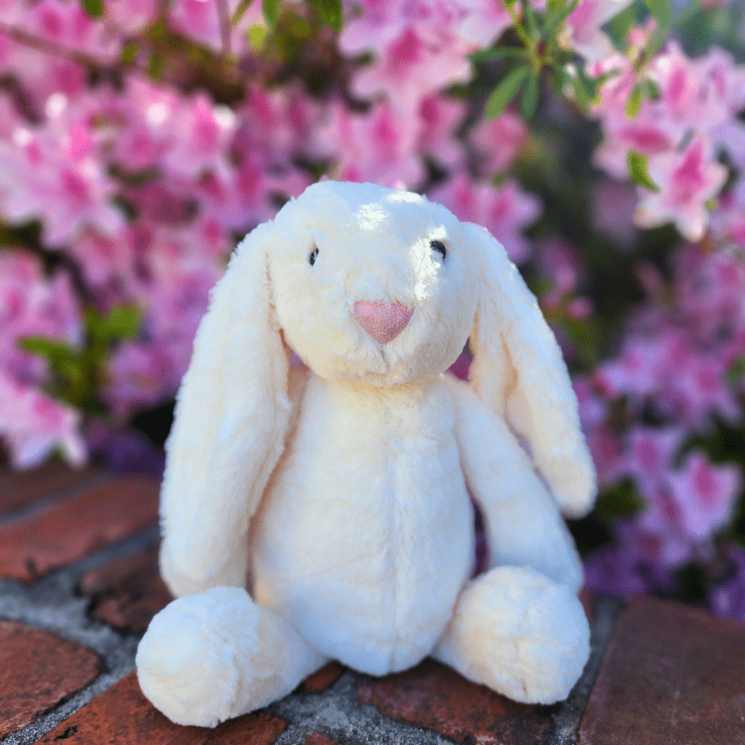 Sister Dulce Gift Shop. Catholic Store, Religious Store, Stuffed Bunny