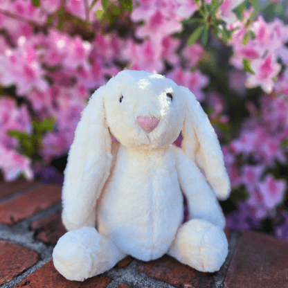 Sister Dulce Gift Shop. Catholic Store, Religious Store, Stuffed Bunny