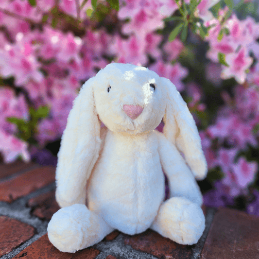 Sister Dulce Gift Shop. Catholic Store, Religious Store, Stuffed Bunny