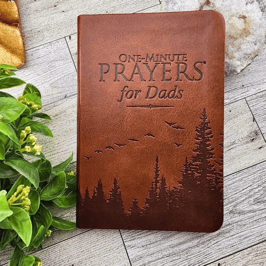 One-Minute Prayers for Dads Book Books Harvest House