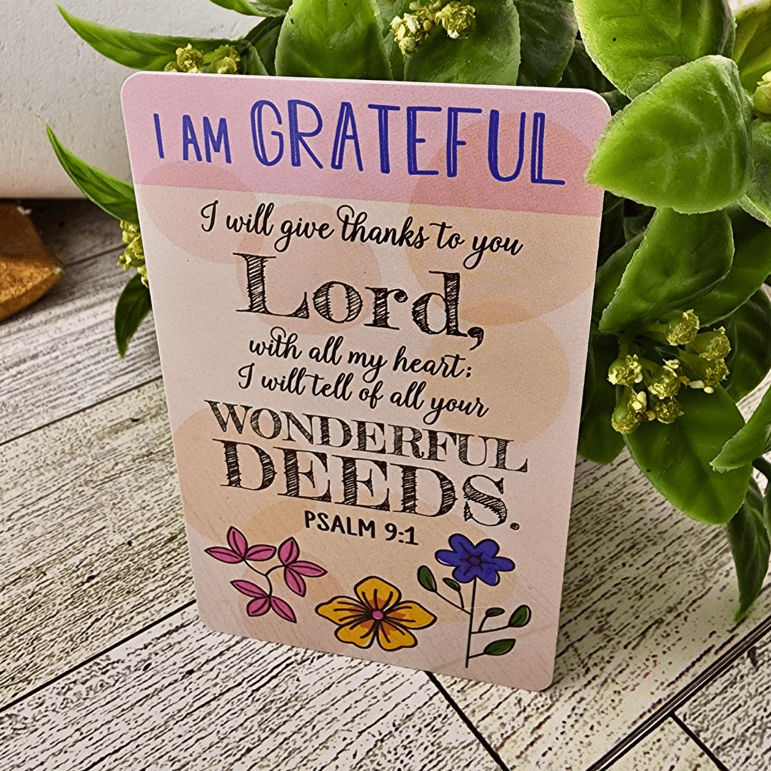 Pocket Prayer Card Set Cards Ganz