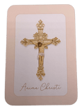 Sister Dulce Gift Shop, Catholic Store, Religious Store, Anima Christi Prayer Card