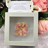 flowers, floral, art, pink flower, sister dulce, shepherds staff gifts