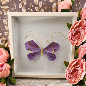 Purple Butterfly Shadow Box