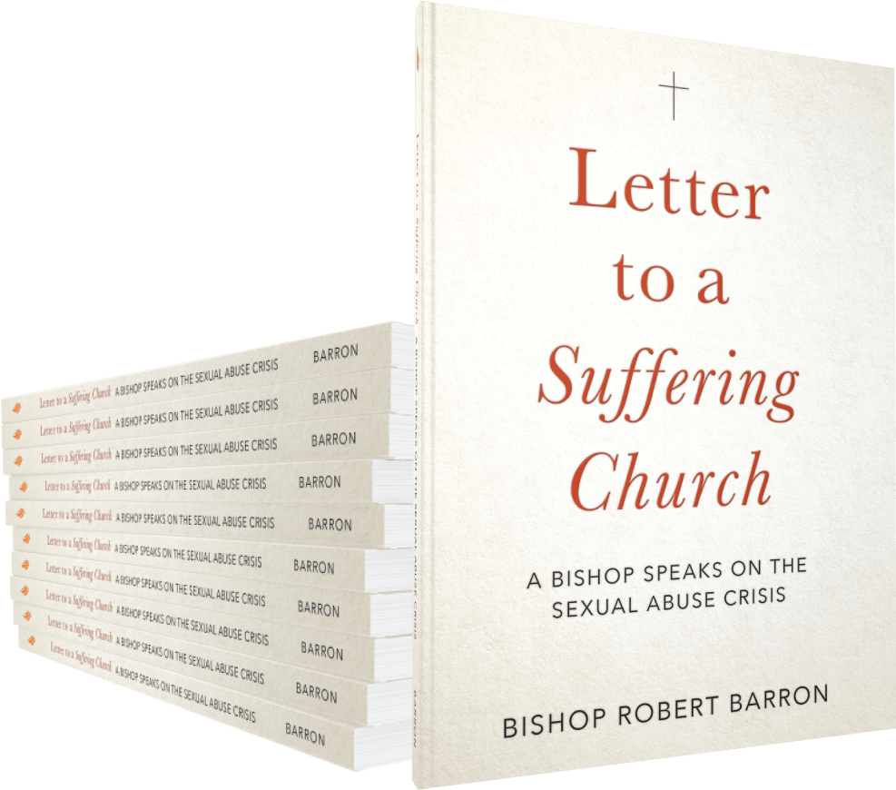 Sister Dulce Gift Shop, Catholic Store, Catholic Book, Bishop Robert Baron, Letter to a Suffering Church