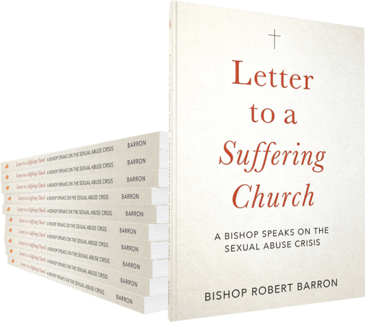 Sister Dulce Gift Shop, Catholic Store, Catholic Book, Bishop Robert Baron, Letter to a Suffering Church