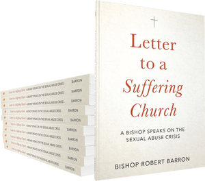 Sister Dulce Gift Shop, Catholic Store, Catholic Book, Bishop Robert Baron, Letter to a Suffering Church
